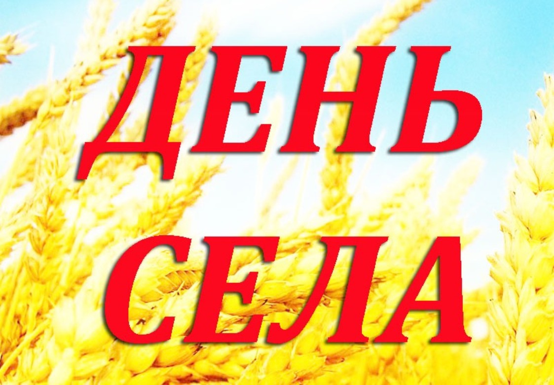 День села в поселке Калина